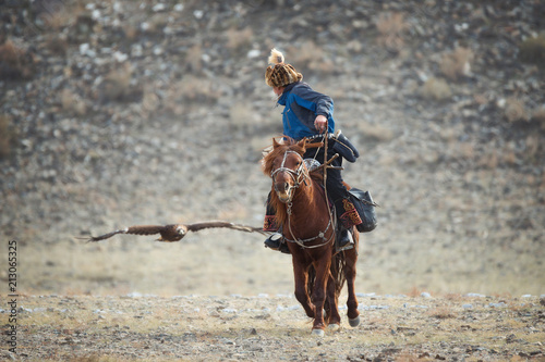 Falconry In Mongolia,Golden Eagle Festival.Artistic Scene With Mongolian Rider-Hunter In Blue Clothes On Brown Horse And The Flying Golden Eagle. Nomad On Horseback. Scene From Life Of The Nomadic