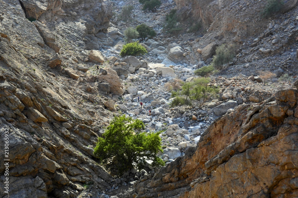 LEOPARD CANYON, RAS AL KHAIMAH, UAE LEOPARD CANYON, RAS AL KHAIMAH, UAE