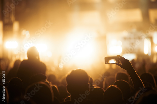 Picture of party people at music festival