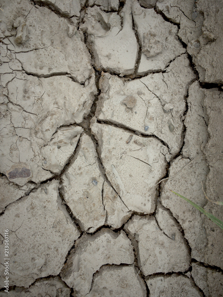 Fototapeta premium dry earth