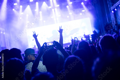 Portrait of happy crowd enjoying at music festival © NDABCREATIVITY