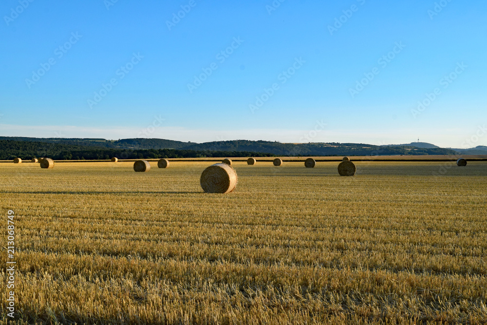 Fototapeta premium Nach der Arbeit auf dem Feld