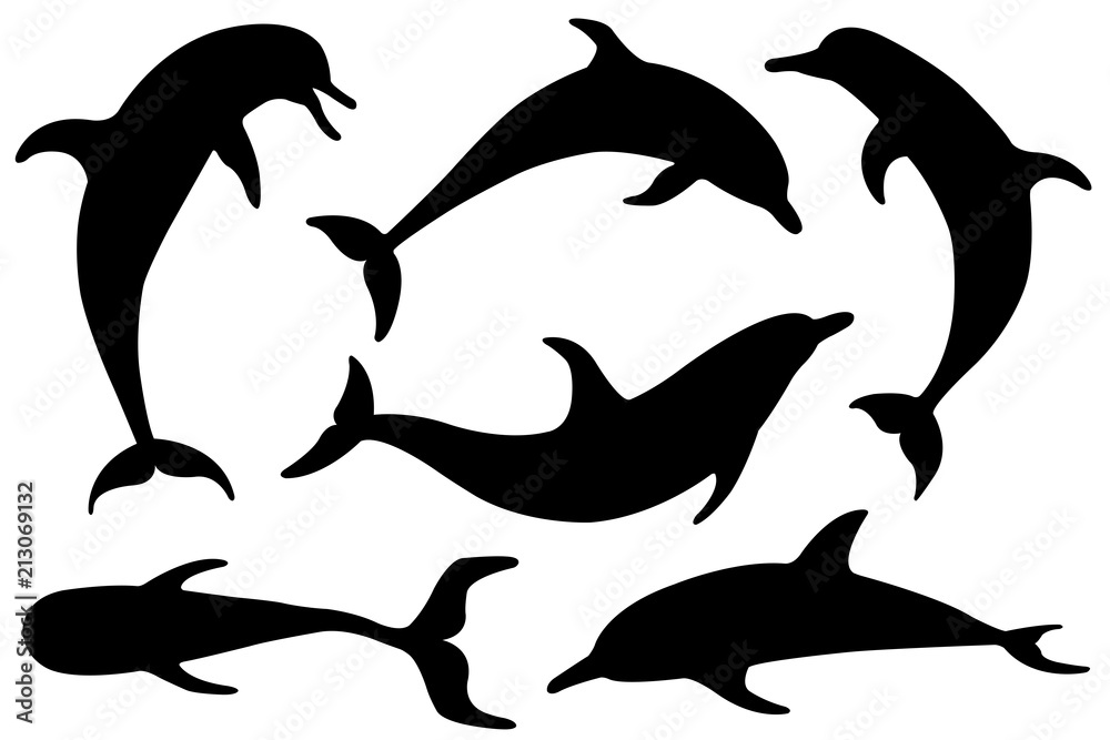 Fototapeta premium Zestaw sylwetki delfinów na białym tle