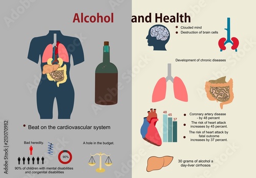 Infographic about harm of alcohol and human health, vector concept illustration