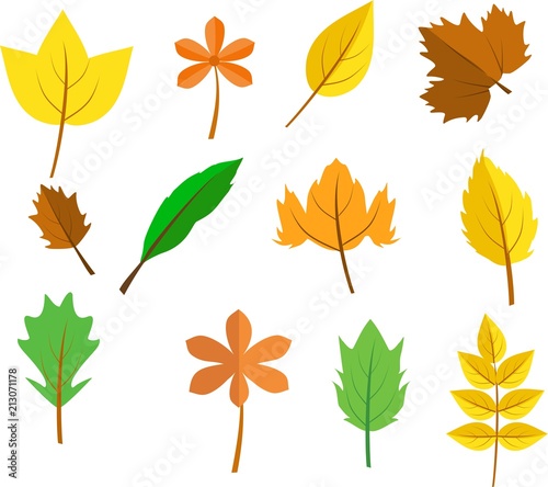 Vector set of leaves of different trees isolated on white illustration