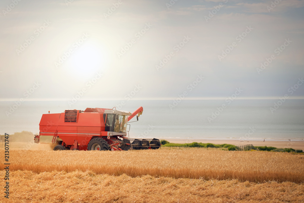 Obraz premium moissonneuse batteuse en