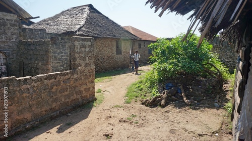 houses on wasini island photo