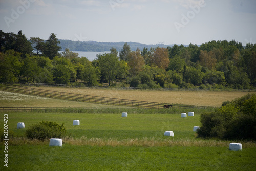 Rural landscape at Ekerö in summer, Stockholm