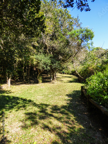 A view of Costao do Santinho Ecological Park in Florianopolis, Brazil