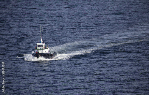 Tug boat, white and black, sailing by the sea 