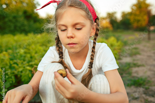 The Children on the harvest of potatoes. photo