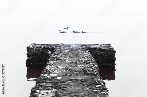 Stone Jetty Trory