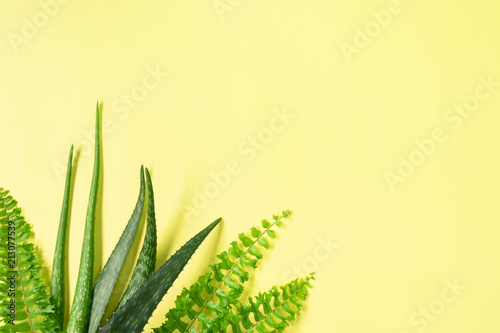 Top view of green leaf on yellow,pink background for present  product and put your text on