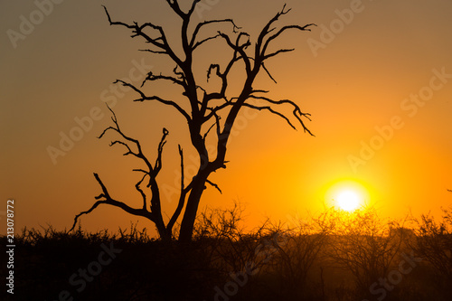 Sunset on Kruger NP, South Africa