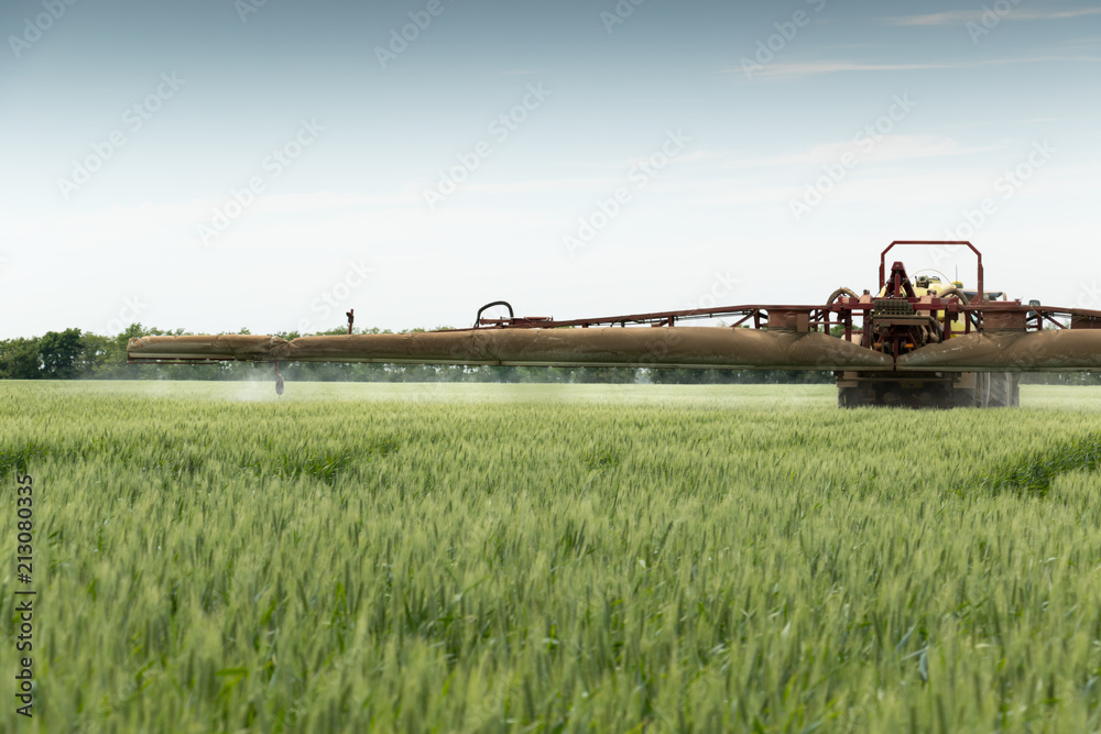 
chemical treatment wheat spraying mushroom killing chemicals