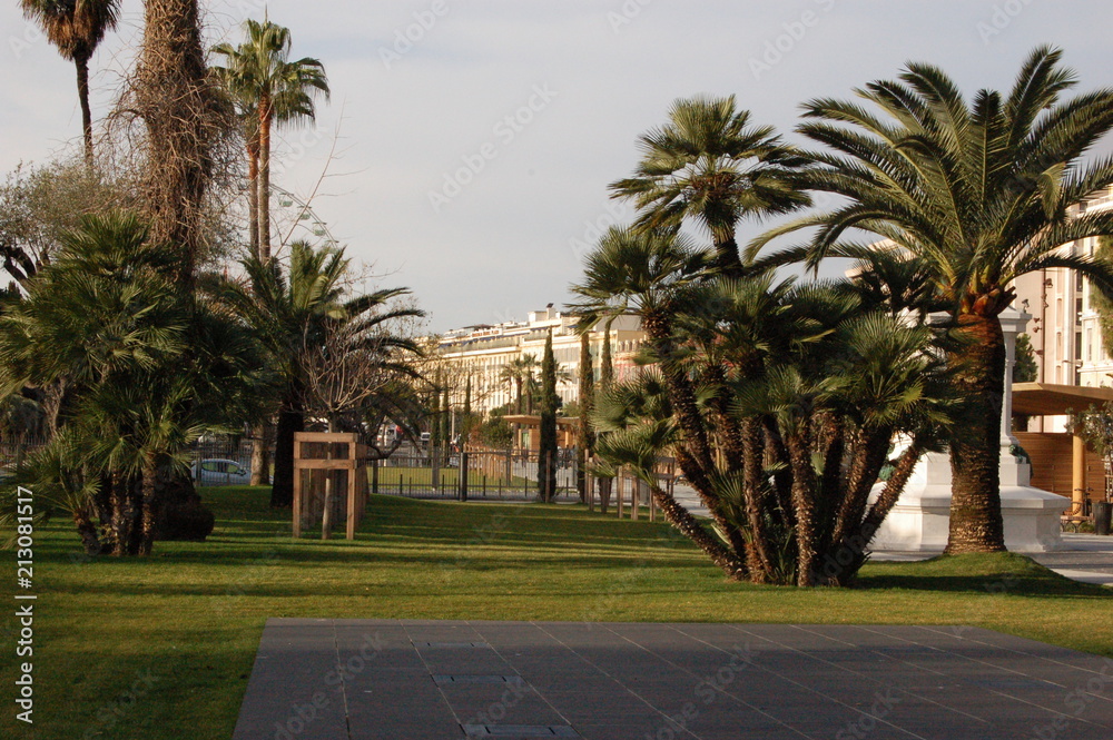 arbres arbres