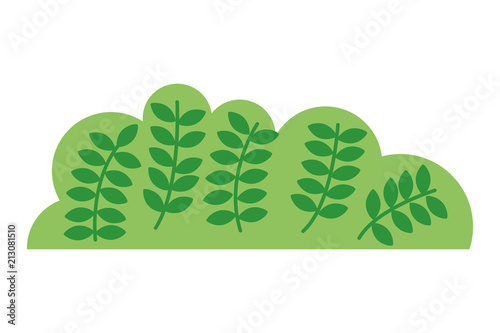 bush nature with leafs icon