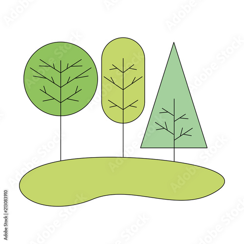 trees natural forest botanical image