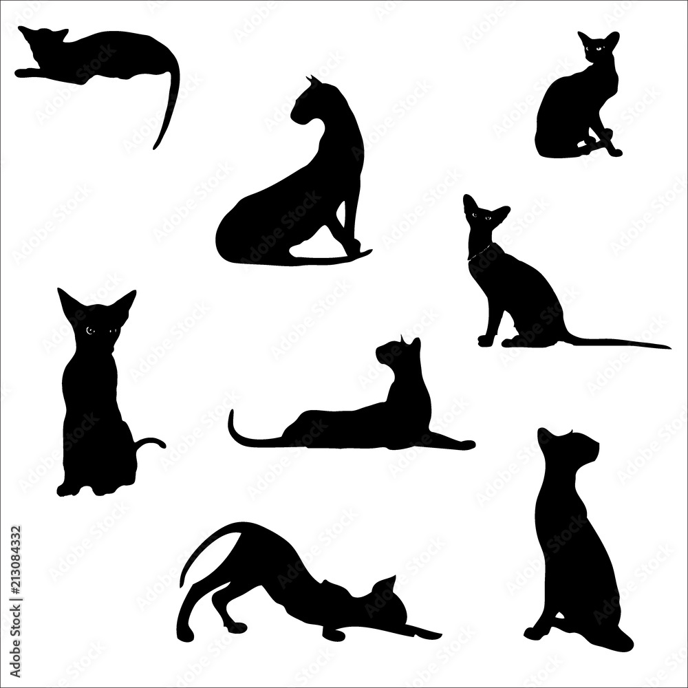 Cats in different poses, silhouettes. The cat lies, sits, stretches its back, hisses, plays, goes. Graceful animal. Use printed materials, signs, items, websites, maps, posters, postcards, 