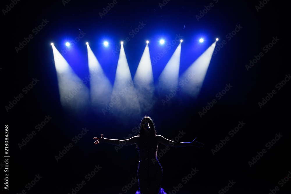 Obraz premium Singer performing on stage with lights. Concert. View from the auditorium.