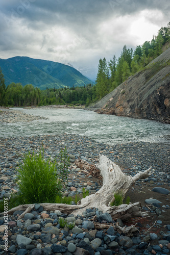 Riverbend - Coastal Mountains - Suskwa River - Steelhead Stream photo