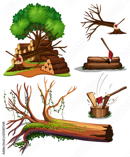 A Set of Tree Being Cut