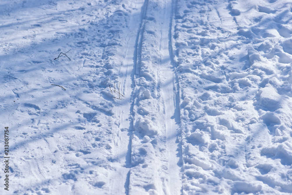 Ski tracks in a winter forest