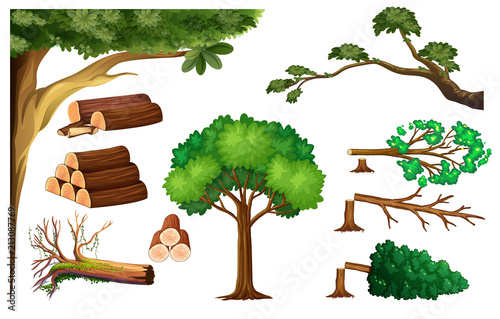A Set of Cutting Tree
