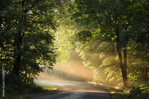 Country road through the forest during the sunrise © Aniszewski