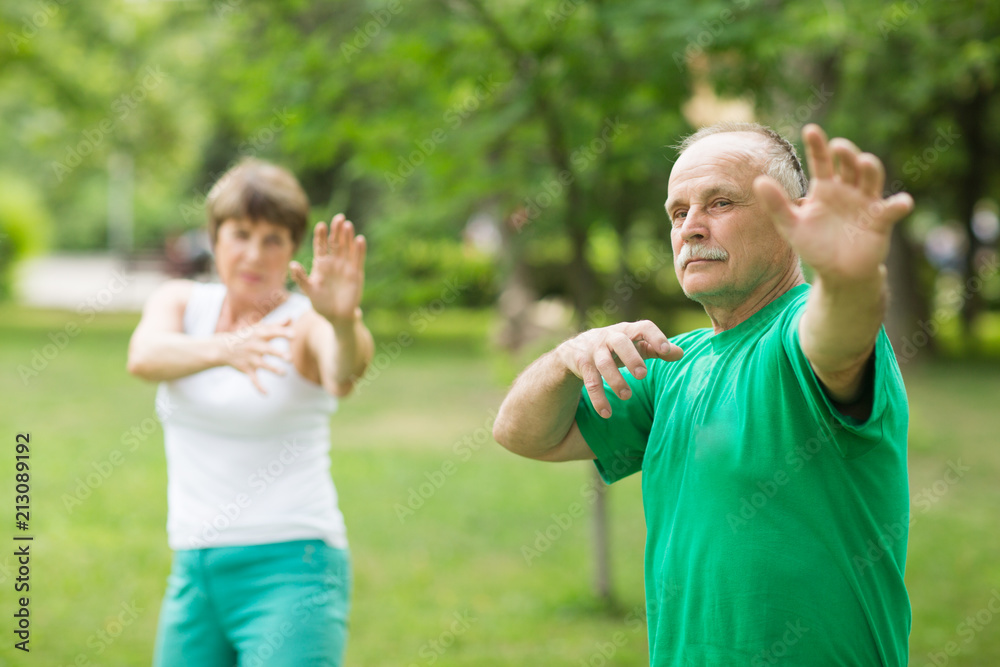 Obraz premium Senior couple practice Tai Chi Chuan in a park. Chinese management skill Qi's energy.