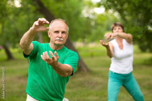 Senior couple practice Tai Chi Chuan in a park. Chinese management skill Qi's energy.