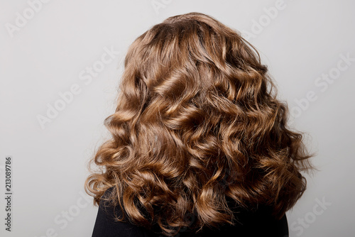 Female hairstyle long curls on the head of the brown-haired woman back view at the gray background turning the head to the left.