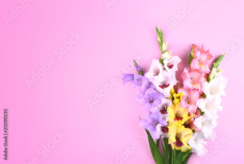 Fototapet Beautiful gladiolus flowers on trendy pink background.