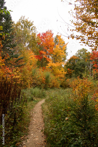 Fototapeta Naklejka Na Ścianę i Meble -  Autumn Hiking Trail