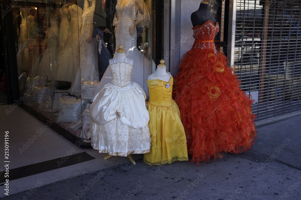 Obraz premium mode flamenvo