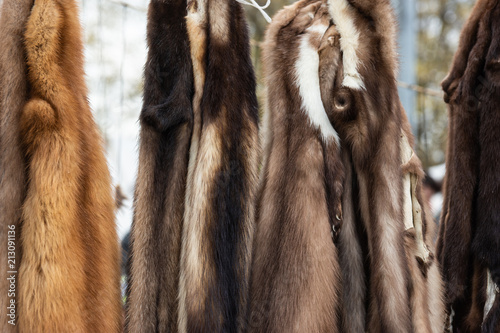 Wild animal furs