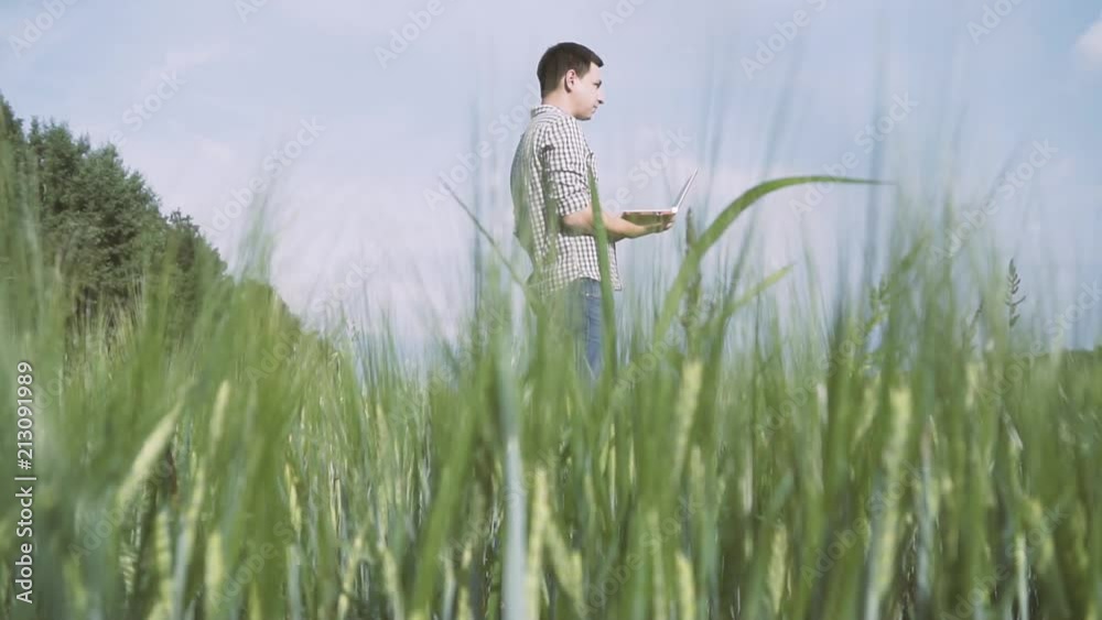 Farmer with black hair and а checkered shirt standing in the field of green wheat and working with a tablet in the field of agricultural technology Farmer with black hair and а checkered shirt standing in the field of green wheat and working with a tablet in the field of agricultural technology