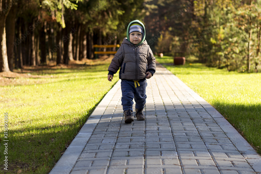 Fototapeta premium cute toddler baby boy walking on autumn spring park