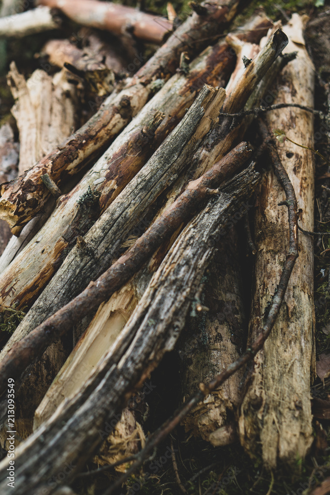 Wood and firewood for campfire Wood and firewood for campfire