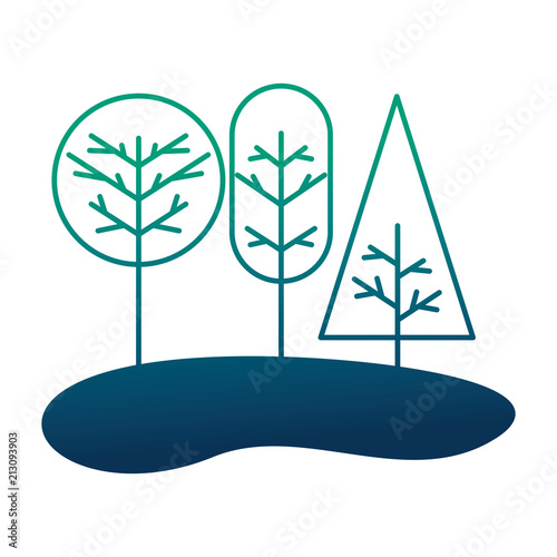 trees natural forest botanical image