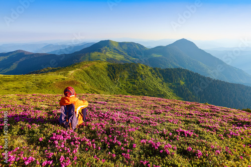 The tourist girl with back sack sits on the lawn of rhododendrons, having rest. High mountains covered of green forests. Summer scenery.