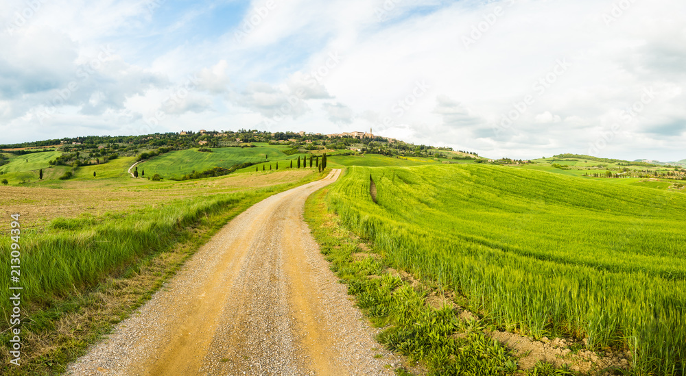 Typical Tuscan rural landscape scene. Road, fields, trees. Amazing fresh green colors. Travel, adventure, relax, piece.