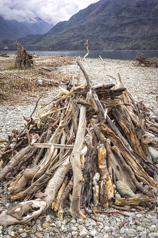 Typical of New Zealand is the many driftwood on the beaches Typical of New Zealand is the many driftwood on the beaches