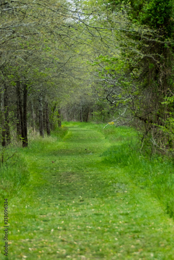 Nature scenics in Knoxville Tennessee Nature scenics in Knoxville Tennessee