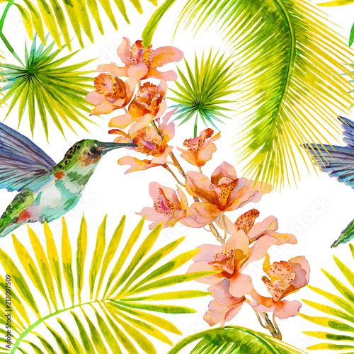 Seamless pattern with orchid flowers, hummingbird watercolor photo
