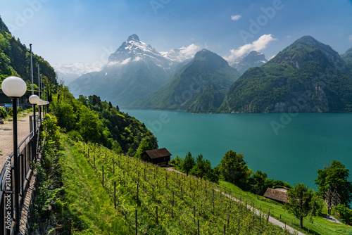 Swiss, lake Lucerne view