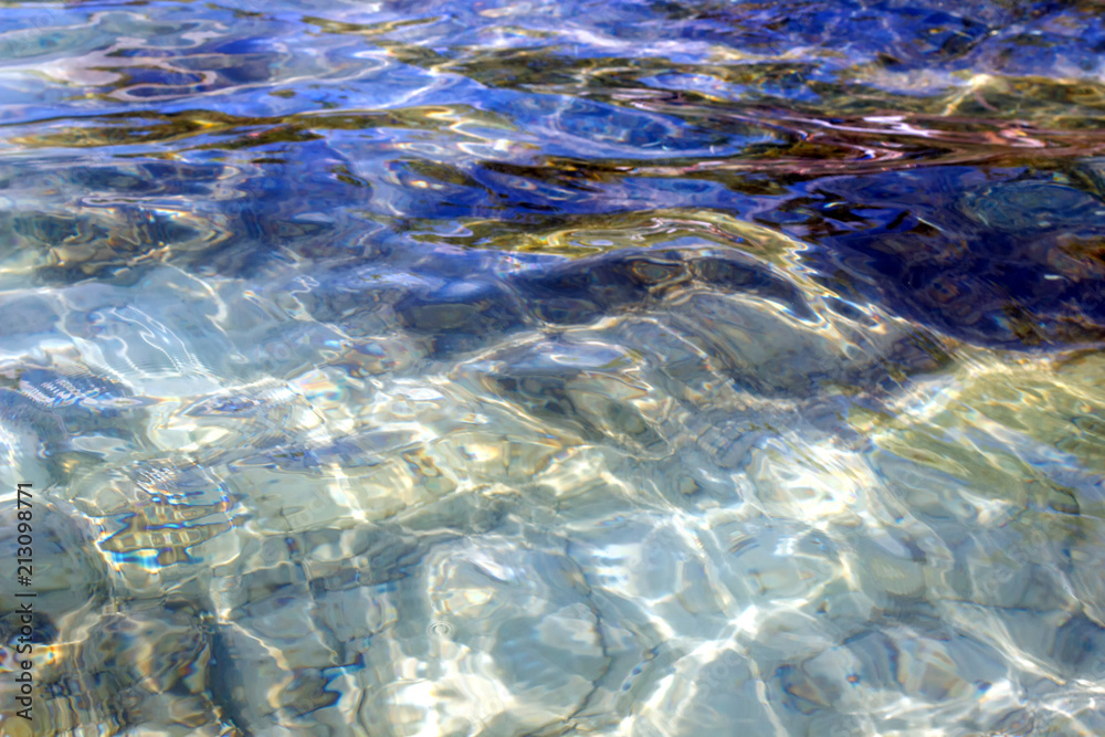 sea bottom. Calm underwater scene with copy space sea bottom. Calm underwater scene with copy space