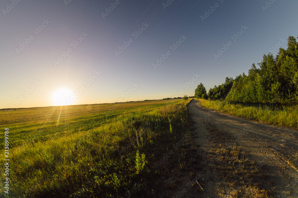 road at sunset near the forest
