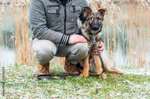 German shepherd puppy with owner at winter