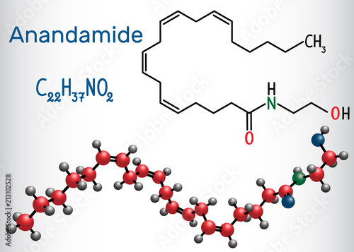 Anandamide molecule. It is endogenous cannabinoid neurotransmitter. Structural chemical formula and molecule model.